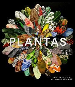 PLANTAS