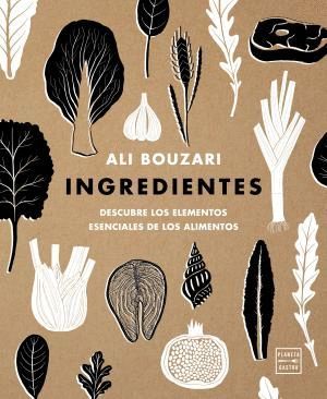 INGREDIENTES