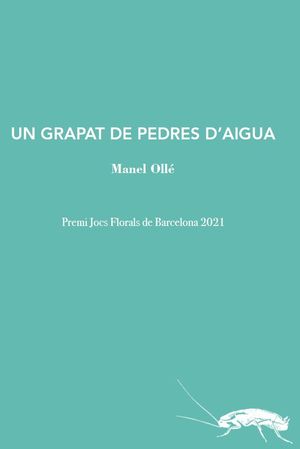 UN GRAPAT DE PEDRES D'AIGUA