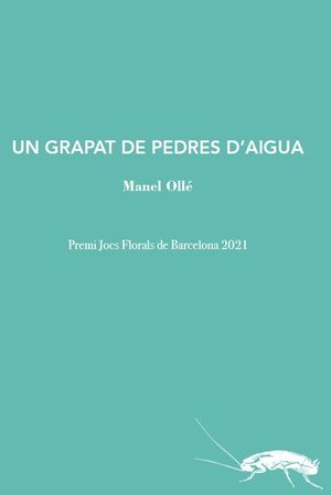 UN GRAPAT DE PEDRES D'AIGUA