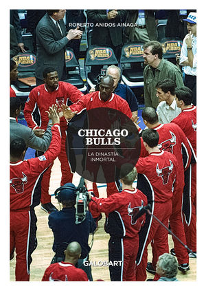 CHICAGO BULLS
