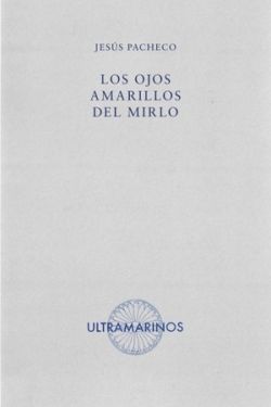 LOS OJOS AMARILLOS DEL MIRLO