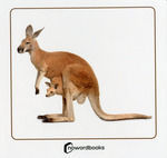 ANIMALES SALVAJES Y SUS CR�AS