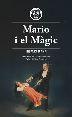 MARIO I EL MGIC