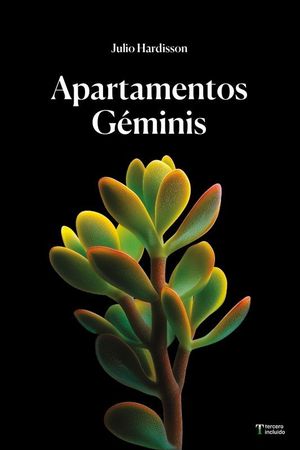 APARTAMENTOS G�MINIS