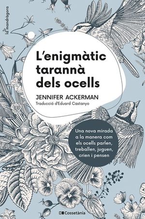 L'ENIGMTIC TARANN DELS OCELLS