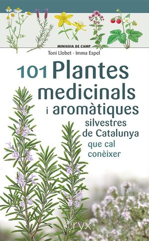 101 PLANTES MEDICINALS I AROMTIQUES SILVESTRES DE CATALUNYA QUE CAL CONIXER
