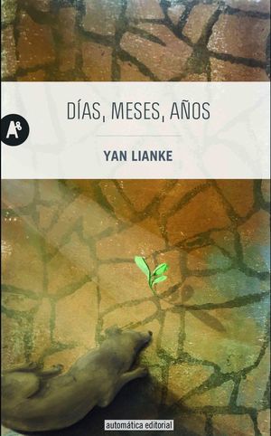 D�AS, MESES, A�OS