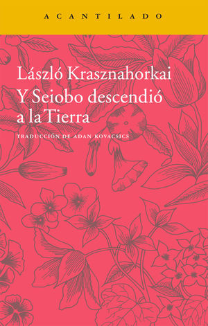 Y SEIOBO DESCENDI A LA TIERRA