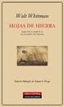 HOJAS EN LA HIERBA