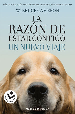 UN NUEVO VIAJE