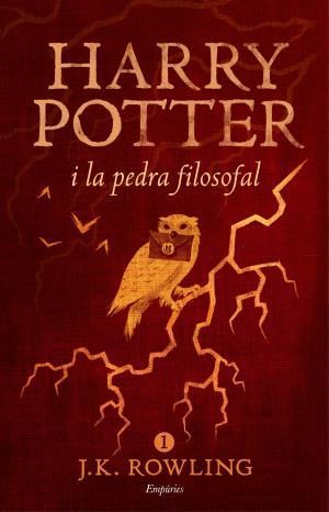 HARRY POTTER I LA PEDRA FILOSOFAL