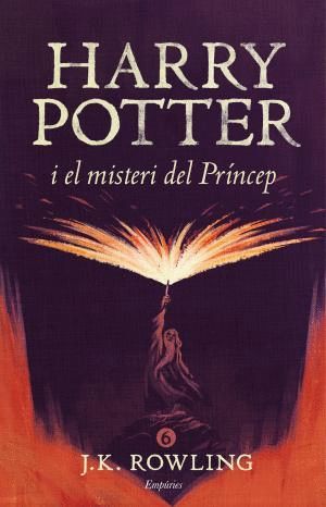 HARRY POTTER I EL MISTERI DEL PRNCEP