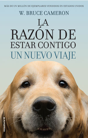 LA RAZ�N DE ESTAR CONTIGO. UN NUEVO VIAJE
