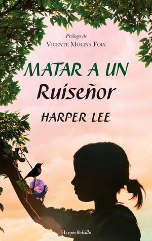 MATAR A UN RUISEOR