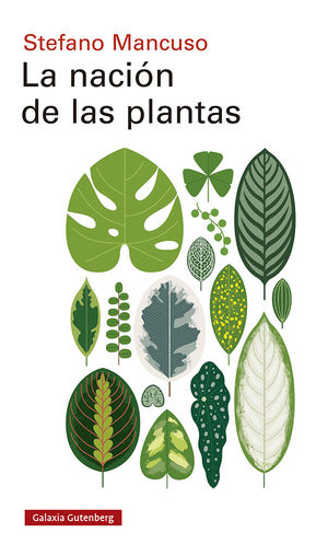 LA NACIN DE LAS PLANTAS