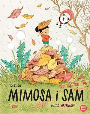 MISSI HIBERNACI