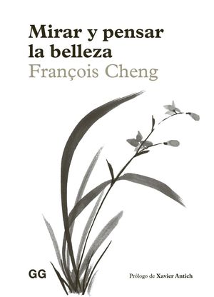 MIRAR Y PENSAR LA BELLEZA