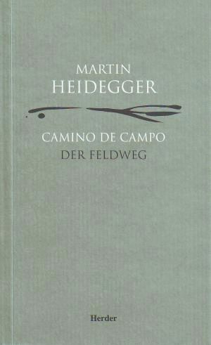 CAMINO DE CAMPO