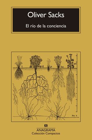 EL R�O DE LA CONCIENCIA