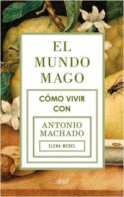 EL MUNDO MAGO