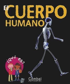 EL CUERPO HUMANO