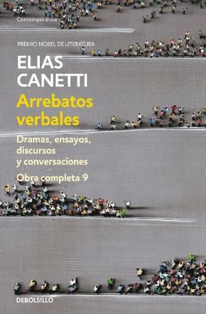 ARREBATOS VERBALES