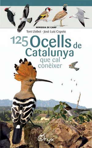 125 OCELLS DE CATALUNYA QUE CAL CONIXER