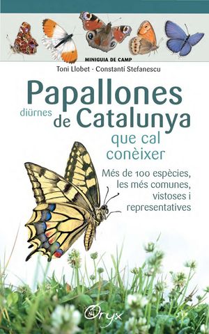 PAPALLONES DIRNES DE CATALUNYA QUE CAL CONIXER