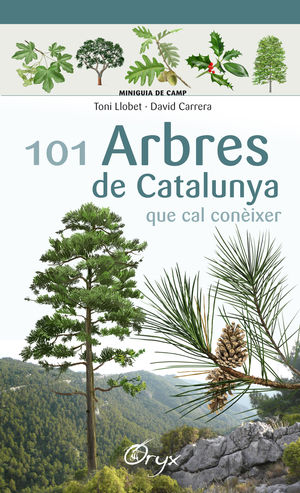 101 ARBRES DE CATALUNYA QUE CAL CONIXER