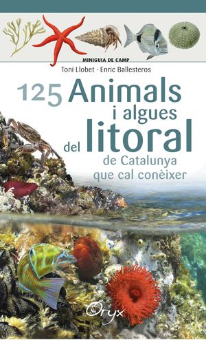 125 ANIMALS I ALGUES DEL LITORAL DE CATALUNYA QUE CAL CONIXER