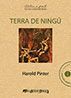 TERRA DE NING