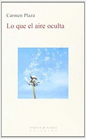 LO QUE EL AIRE OCULTA