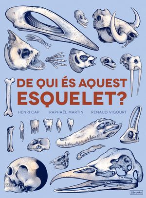 DE QUI S AQUEST ESQUELET?