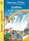 ACAMPADA A LES CASCADES DEL NIGARA