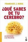 QU SABES DE TU CEREBRO?