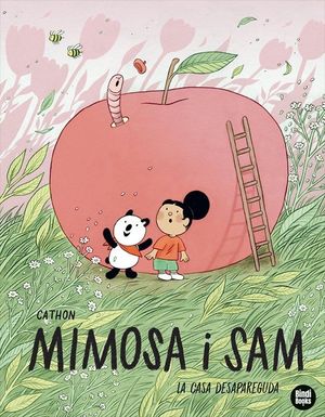 LA CASA DESAPAREGUDA