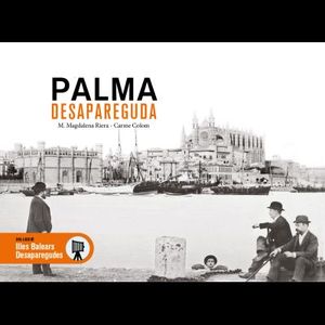PALMA DESAPAREGUDA