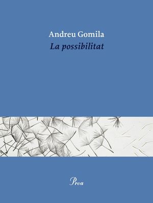 LA POSSIBILITAT
